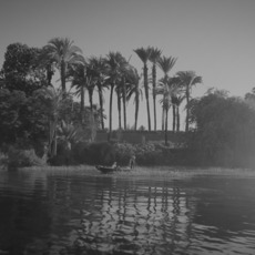 Wael Shawky