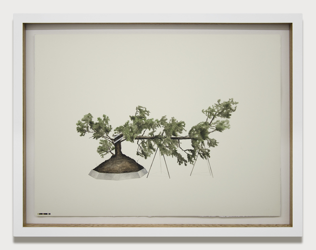 Edwin Monsalve, ‘Prototipos para una naturaleza rehabilitada’, 2014, Drawing, Collage or other Work on Paper, Watercolor, Fabriano paper, wood and glass, Galeria El Museo