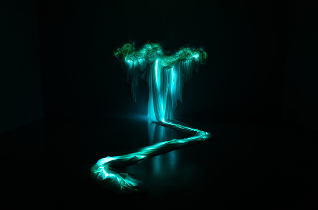 image-zoom