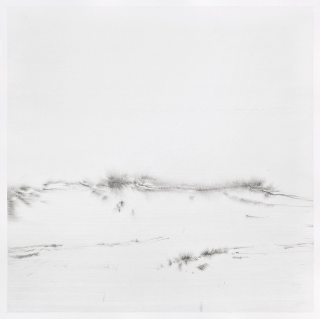 Untitled 30 — Çağla Köseoğulları (2018)