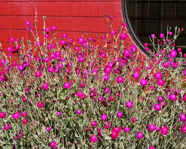 Jeff Wall, ‘Flowering plant’, 2012, Monte Clark Gallery