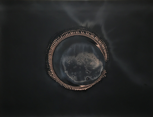 Christopher Colville, ‘Ouroboros 10’, 2017, Rick Wester Fine Art