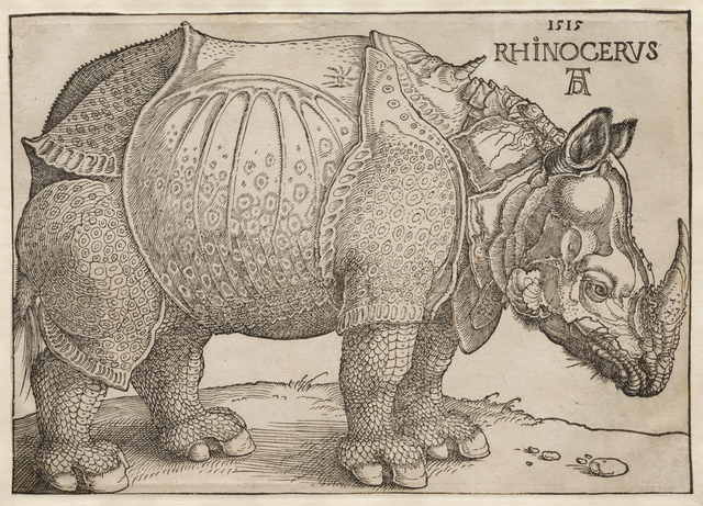 Albrecht Dürer | The Rhinoceros (1515) | Artsy