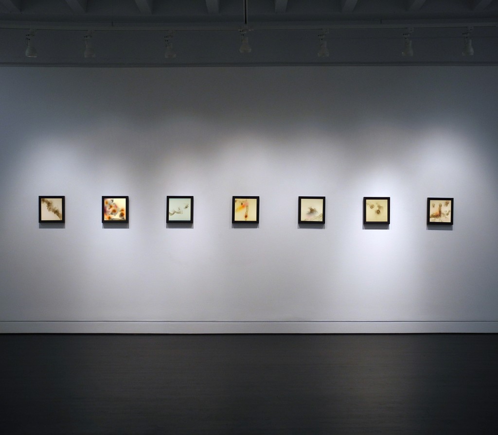Rockne Krebs: The Smoke Drawings, March 19, 2016 - April 30, 2016, HEMPHILL Fine Arts, Washington DC Rockne Krebs: The Smoke Drawings, March 19, 2016 - April 30, 2016, HEMPHILL Fine Arts, Washington DC