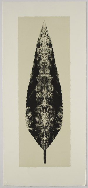 Bruce Conner, ‘DARK LEAF’, 2001, Betsy Senior Fine Art