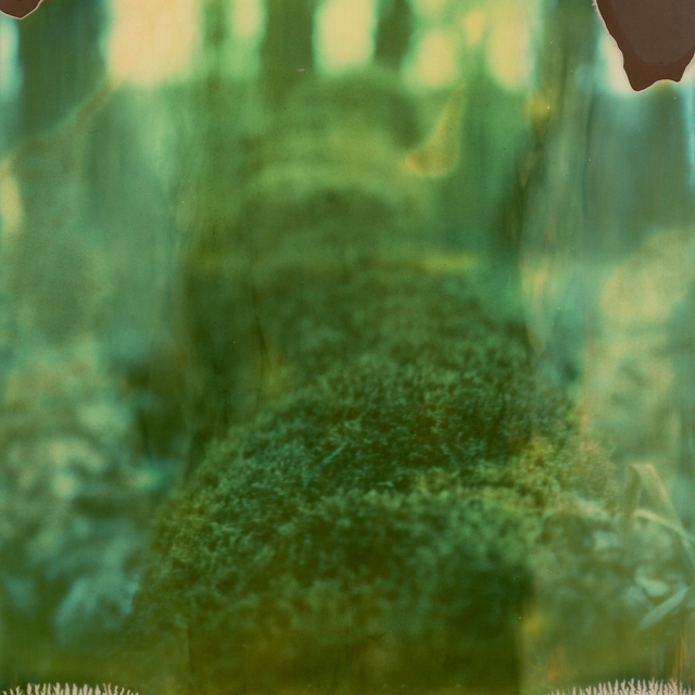Julia Beyer, ‘Moss’, 2016, Instantdreams
