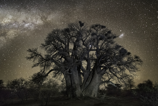 Beth Moon, ‘Aludra’, Photography, Archival Pigment Print, photo-eye Gallery