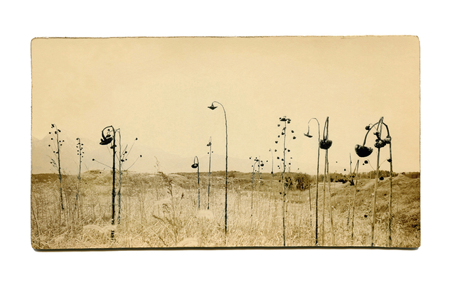 Miho Kajioka, ‘BK0065’, 2013, Photography, Silver gelatin print, The Photographers' Gallery | Print Sales