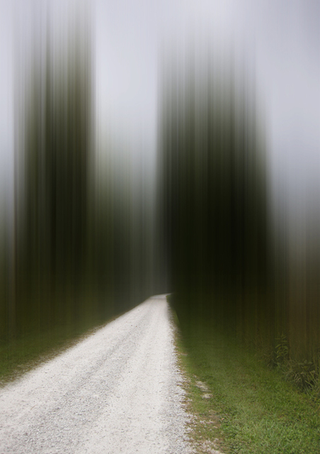 Ellen Jantzen, ‘Leading Home’, 2013, Bruno David Gallery