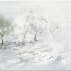 Kailiang Yang