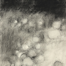 Emily Nelligan