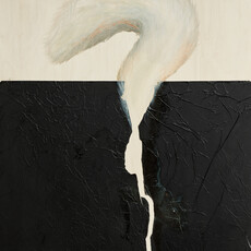 Micky Focke