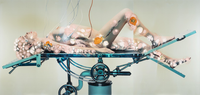 Doble & Strong, ‘Dermochrome’, 2014, Nanda\Hobbs