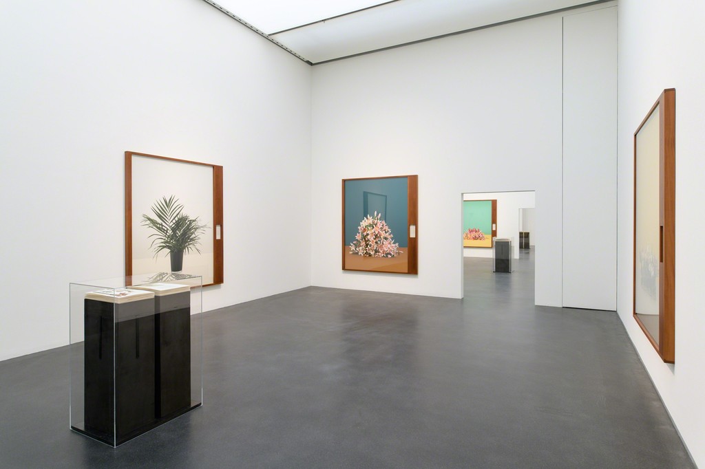 Artwork © Taryn Simon. Courtesy Kunstmuseum Luzern, Switzerland and Gagosian. Photo: Marc Latzel. Artwork © Taryn Simon. Courtesy Kunstmuseum Luzern, Switzerland and Gagosian. Photo: Marc Latzel.