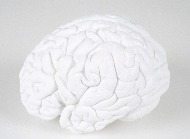 Katharina Fritsch, ‘Gehirn (Brain)’, 1987-1989, Sculpture, Plaster, paint, Matthew Marks Gallery