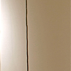 Jeanne Silverthorne