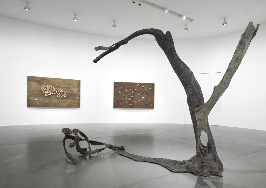 Giuseppe Penone: Equivalenze | Gagosian | Artsy