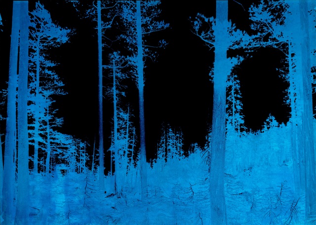 Ian Ruhter, ‘Indigo’, 2018, Photography, Silver Gelatin paper / Hand Stained, Art Ventures Gallery