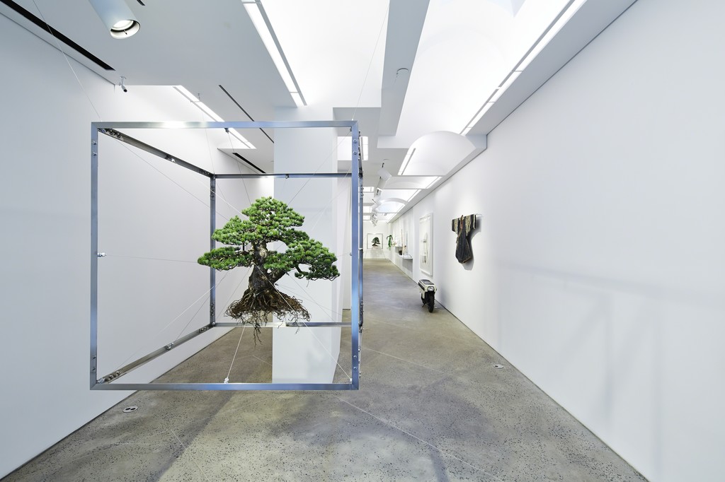 Installation view. Photos by Shiinoki Shunsuke. Installation view. Photos by Shiinoki Shunsuke.
