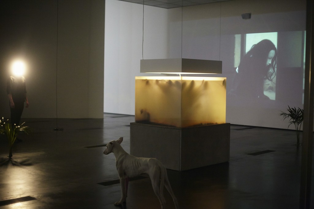 Pierre Huyghe at LACMA, 2015, Photo by Ola Rindal Pierre Huyghe at LACMA, 2015, Photo by Ola Rindal