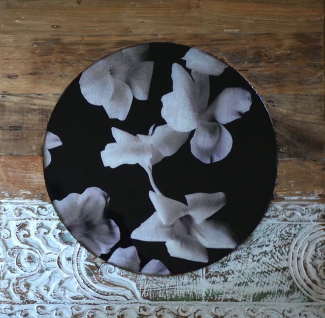 Amélie Desjardins, ‘Floresta primitiva 1 ’, 2019, Thompson Landry Gallery