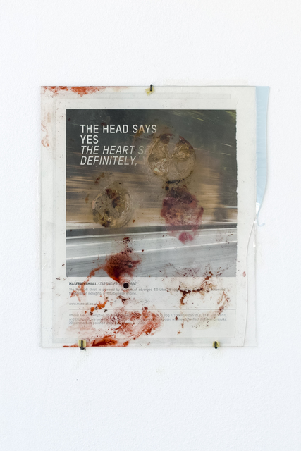 Nanna Abell, ‘The head says, the heart says ’, 2018, Sculpture, Magazine page, cochineal bugs, lemon, silicone, Galleri Susanne Ottesen