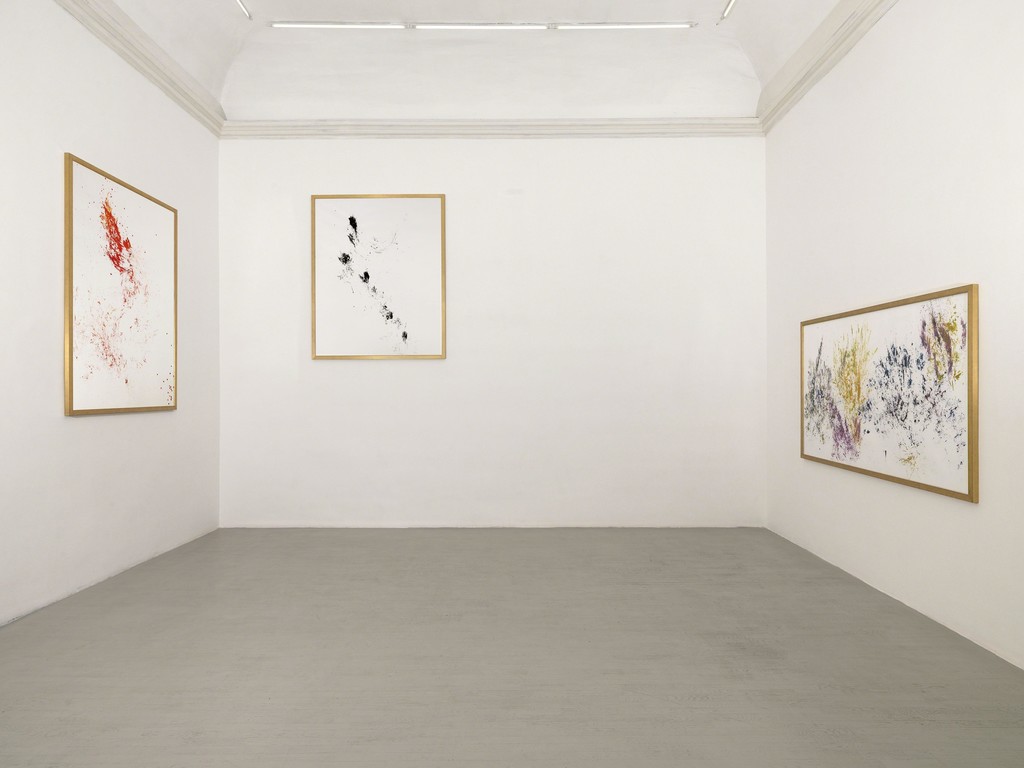 Maria Thereza Aves - Time, Trade and Surplus Value - Partial view of the exhibition - July 2018 Maria Thereza Aves - Time, Trade and Surplus Value - Partial view of the exhibition - July 2018