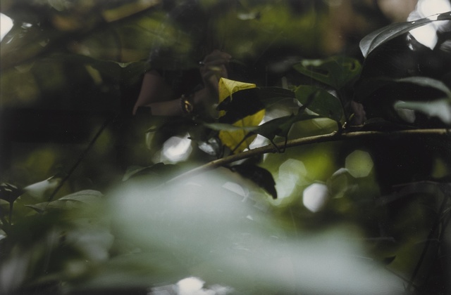 Gabriel Orozco, ‘Asomo’, 2001, Sotheby's