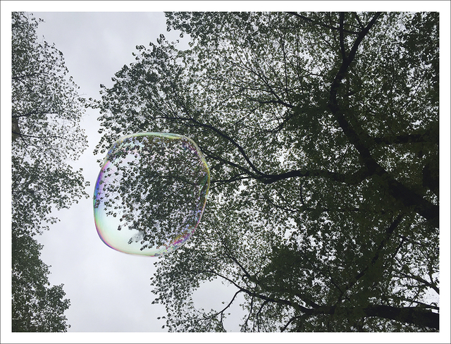 Ani Çelik Arevyan, ‘New Born, Series | Untitled 10 # 5095’, 2016, Galeri Nev Istanbul