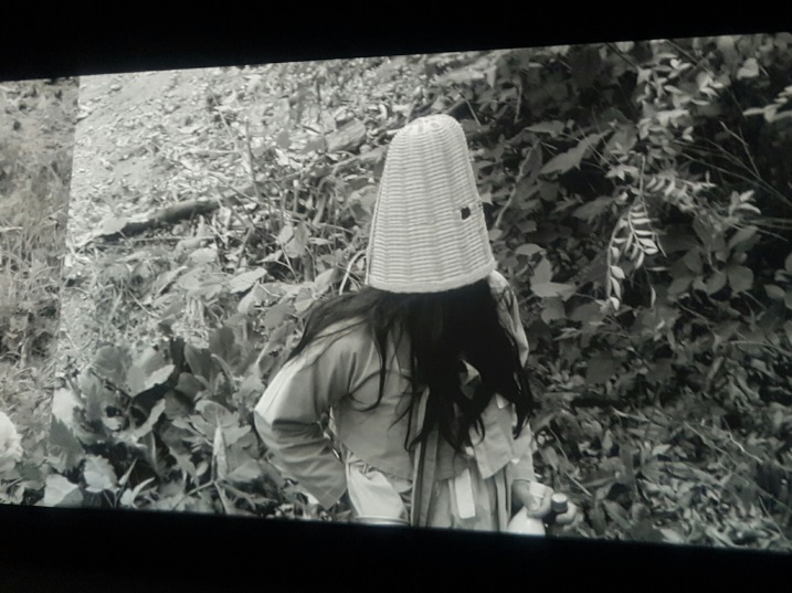 Park Chan-kyong, Citizen's Forest, 2016. Video (b&w), directional sound. 27 minutes. Courtesy of Art Sonje Center and the Taipei Biennial 2016. Park Chan-kyong, Citizen's Forest, 2016. Video (b&w), directional sound. 27 minutes. Courtesy of Art Sonje Center and the Taipei Biennial 2016.
