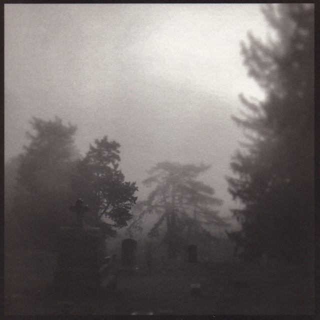 Denise Oehl, ‘Soft Trees’, 2018, John Davis Gallery