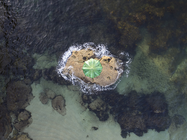 Margeaux Walter, ‘Island’, 2018, Photography, Dye sublimation on aluminum, Foto Relevance