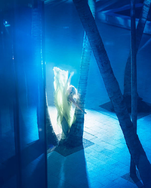 David Drebin, ‘Yellow Fever’, 2018, Immagis Fine Art Photography