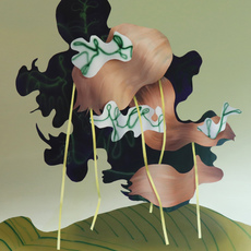 Judith Grassl
