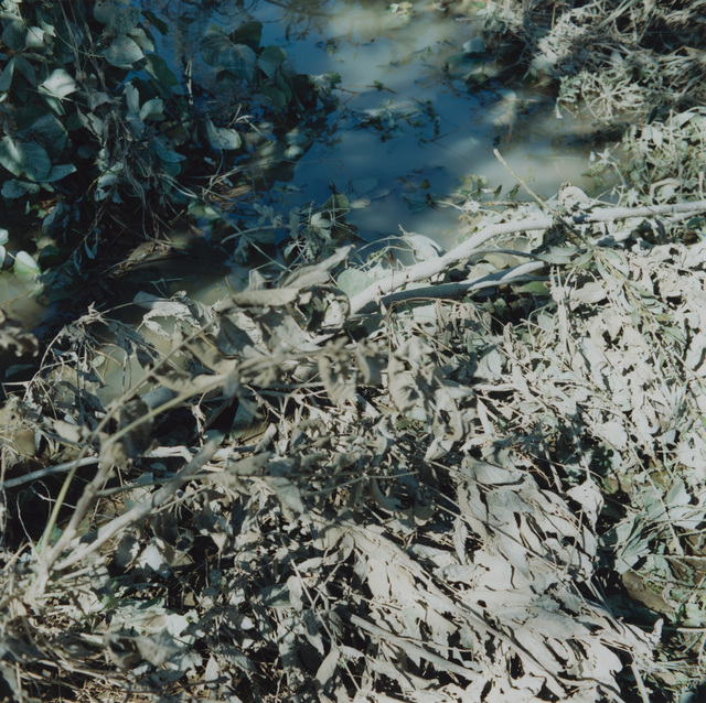 Mikiko Hara, ‘Untitled’, 2018, MIYAKO YOSHINAGA