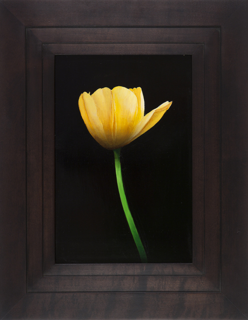 Michael Gregory, ‘Untitled (tulip)’, 2014, Painting, Oil on panel, Nancy Hoffman Gallery