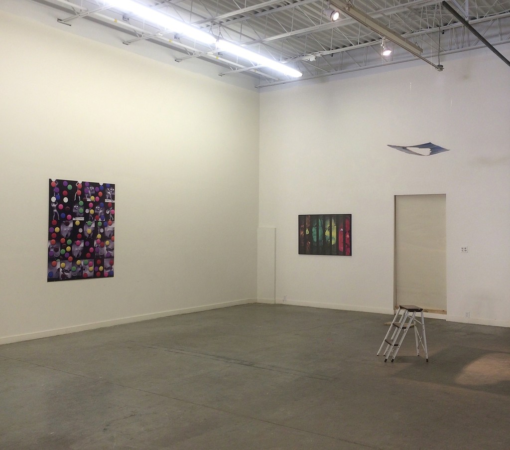 Installation view, Chameleon, 2016. Installation view, Chameleon, 2016.