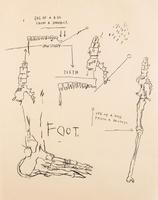 Jean-Michel Basquiat - Leg of a Dog, from Da Vinci