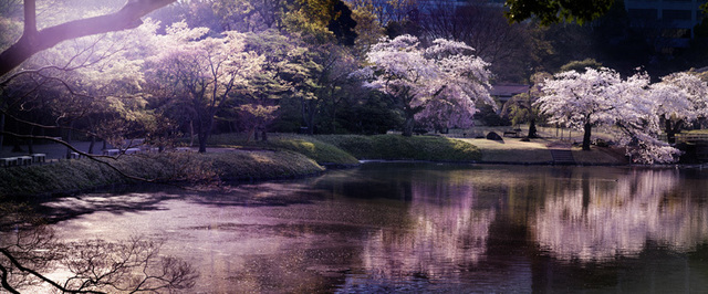 David Drebin, ‘Blossom’, 2015, CHROMA GALLERY