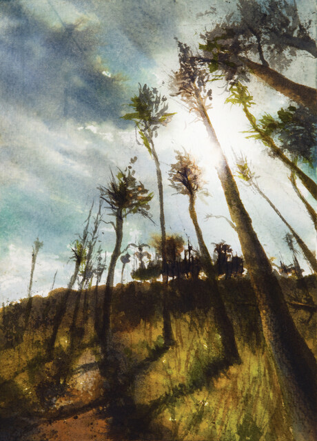 Tatoi — Andreas Georgiadis (2024)