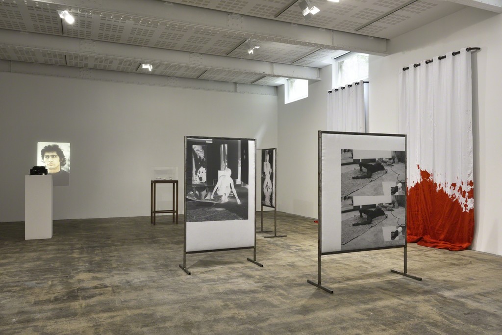 Pure Fiction, Curated by Julie Boukobza, Installation View, Galerie Marian Goodman, Paris, June 10 – July 22, 2016 Pure Fiction, Curated by Julie Boukobza, Installation View, Galerie Marian Goodman, Paris, June 10 – July 22, 2016