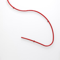 Laia Estruch