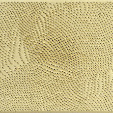 chanil kim