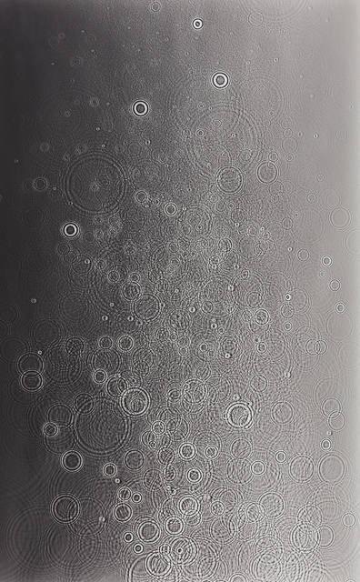 Adam Fuss, ‘Untitled’, 2007, Phillips