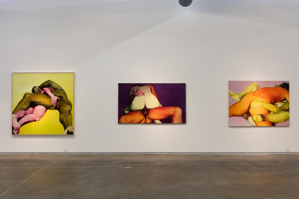 Black Sheep Feminism. Installation view, Dallas Contemporary, 2016. Photo: Kevin Todora Black Sheep Feminism. Installation view, Dallas Contemporary, 2016. Photo: Kevin Todora