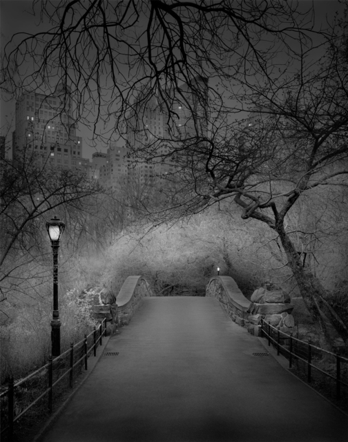 Michael Massaia, ‘Deep In A Dream - Central Park - Gapstow Bridge’, 2009, Photography, Toned Silver Gelatin Photograph, Holden Luntz Gallery