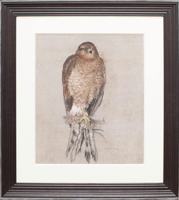 Camille Roche Falcon Available For Sale Artsy