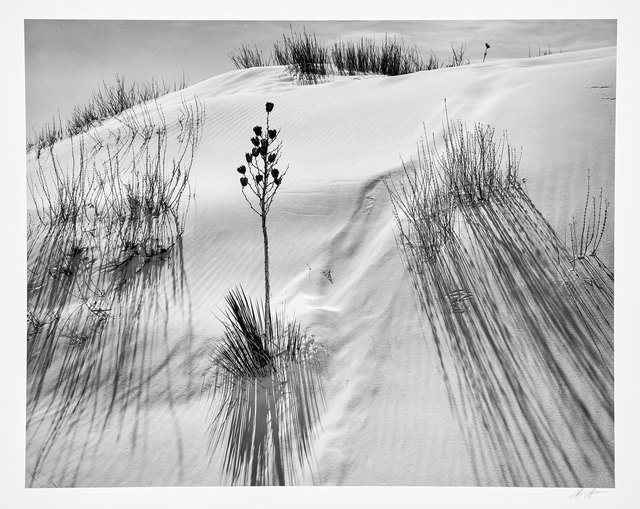 Ansel Adams Dune White Sands National Monument New Mexico 1942