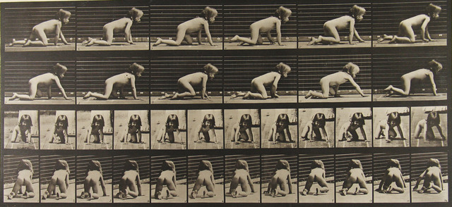Eadweard Muybridge, ‘Animal Locomotion’, 1886, Howard Greenberg Gallery