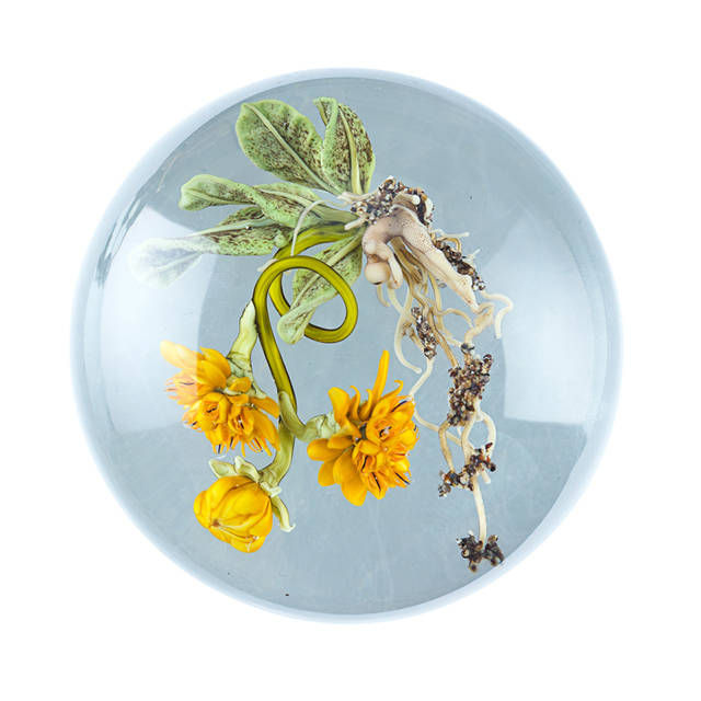 Paul Stankard, ‘Paperweight with flowers and root person, Millville, NJ’, 1993, Rago/Wright